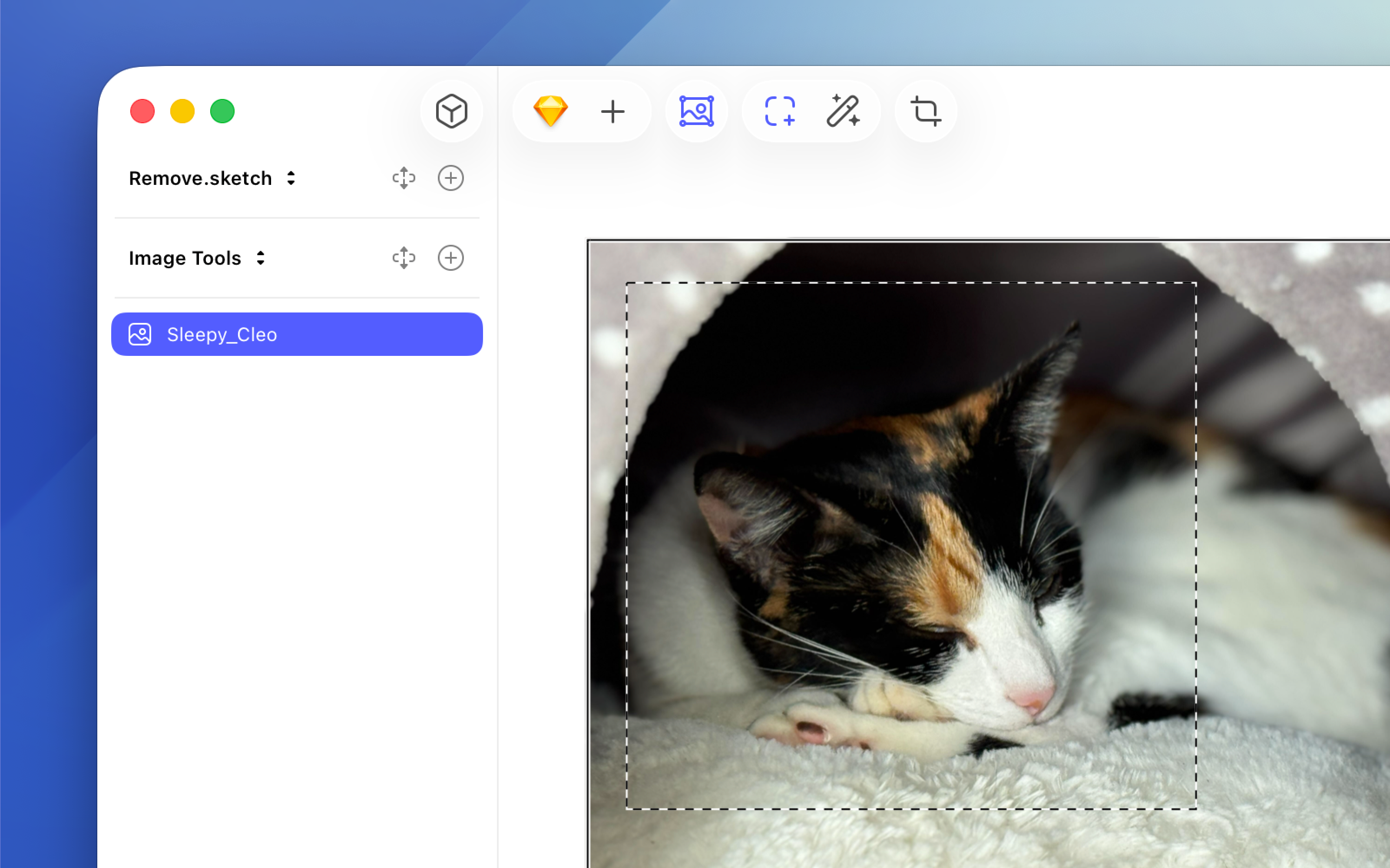 The options you’ll see when you make a selection marquee on an image.
